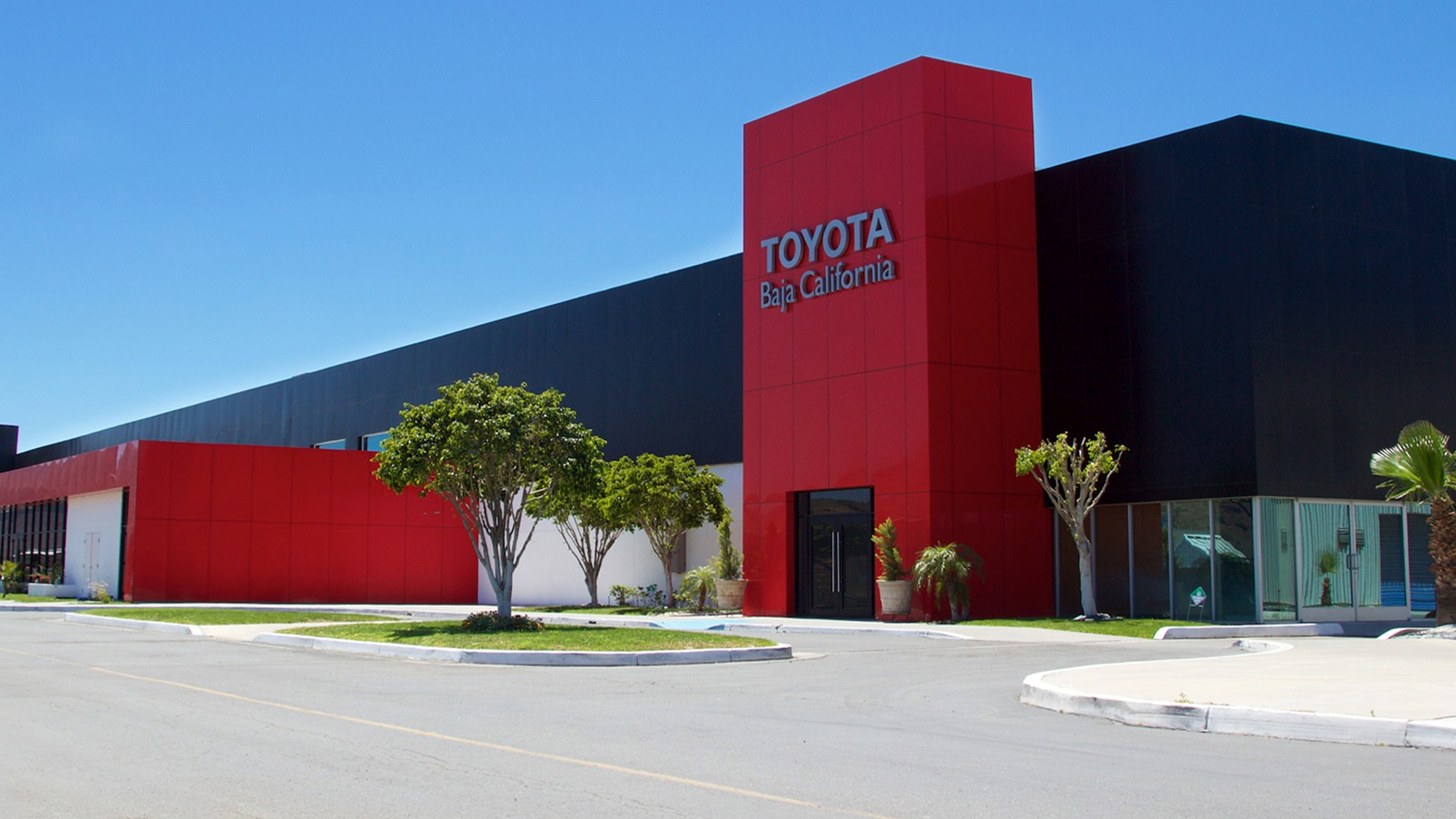 Planta Baja California